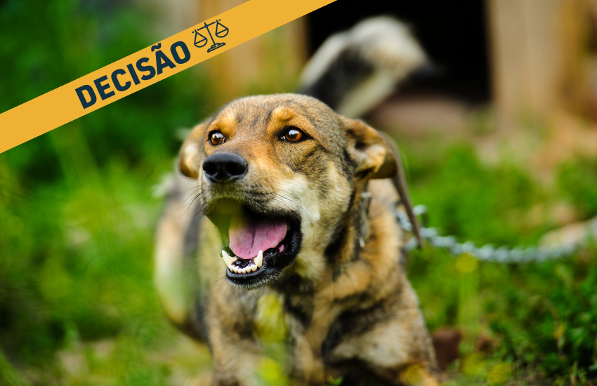 Juizado Especial do TJPR condena tutores dos cães que atacaram vizinha na rua